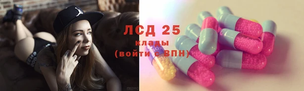 индика Алексин