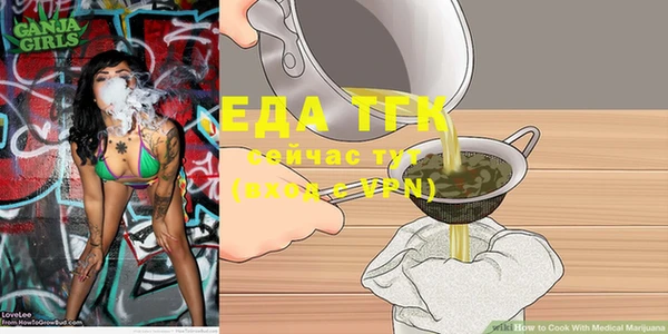 индика Алексин