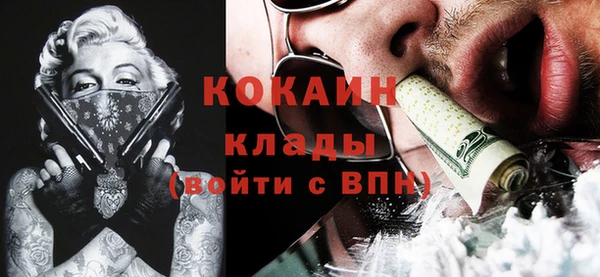 индика Алексин