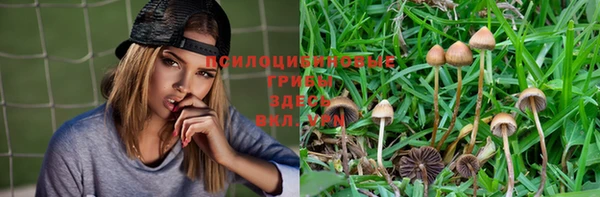 амфетамин Алексеевка