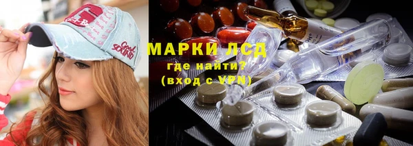 индика Алексин