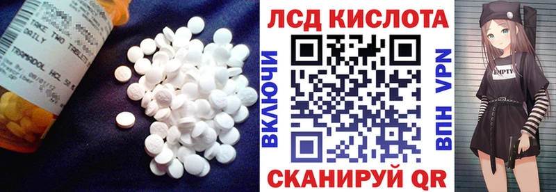 omg маркетплейс  Западная Двина  ЛСД экстази кислота 